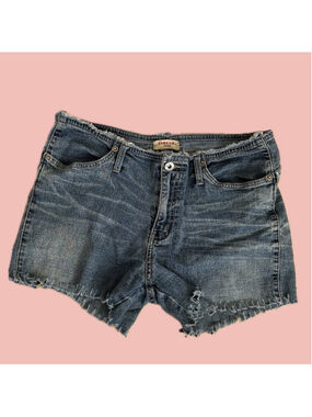Liquido Denim Women’s Distressed Jean Shorts - Blue